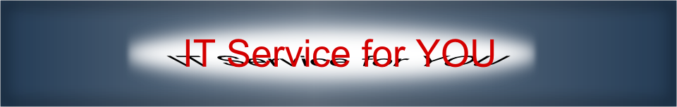 Itservice for you